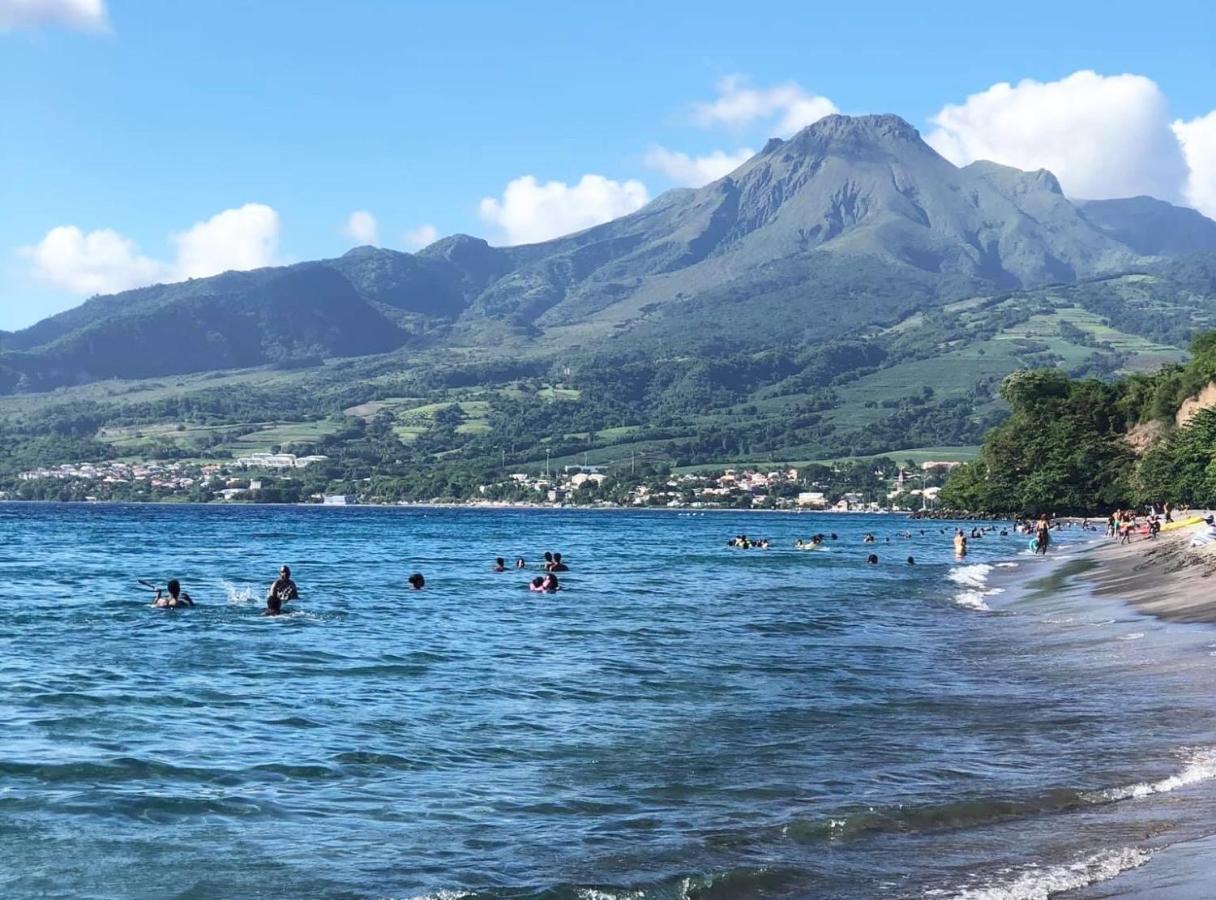 فيلا لو كاربيتفي Carribbean Madicreole Au Carbet المظهر الخارجي الصورة