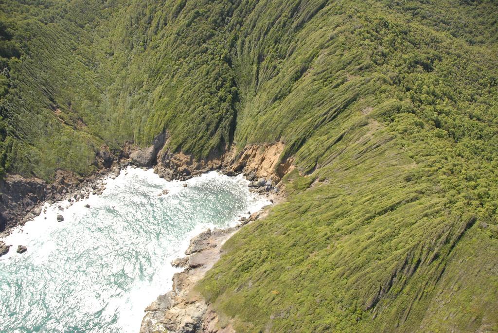 فيلا لو كاربيتفي Carribbean Madicreole Au Carbet المظهر الخارجي الصورة