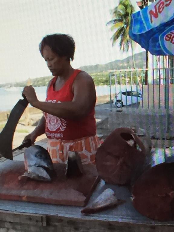 فيلا لو كاربيتفي Carribbean Madicreole Au Carbet المظهر الخارجي الصورة
