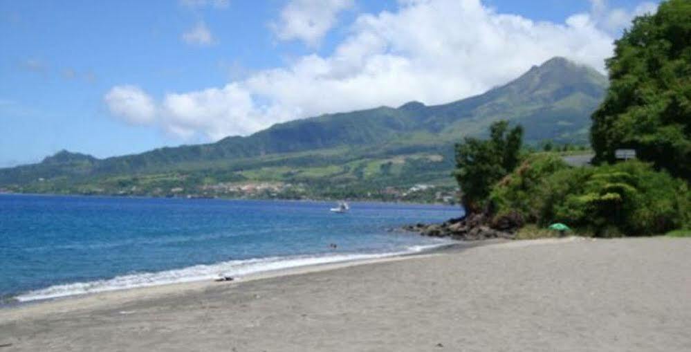 فيلا لو كاربيتفي Carribbean Madicreole Au Carbet المظهر الخارجي الصورة